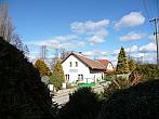 Třibřichy