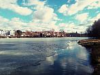 Borovina