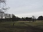 Neratovice