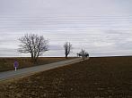 Dobromilice