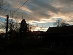 Třibřichy