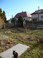 Třibřichy