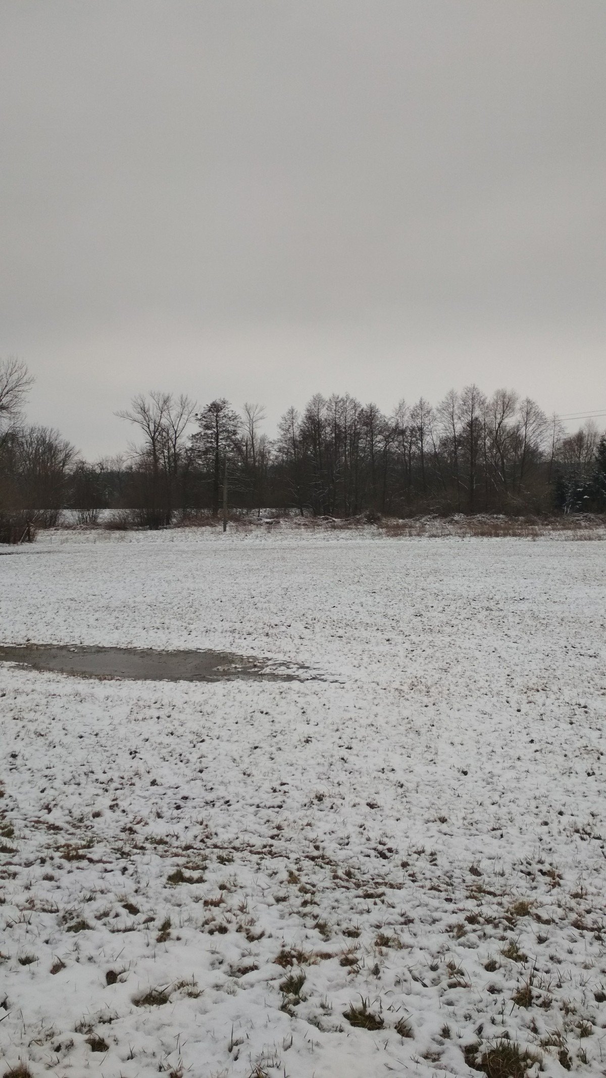 Podlazice