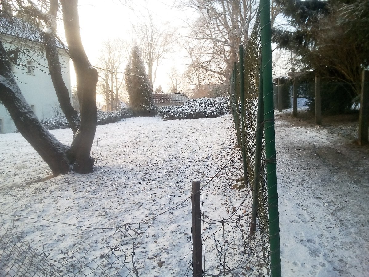 Nová Paka 