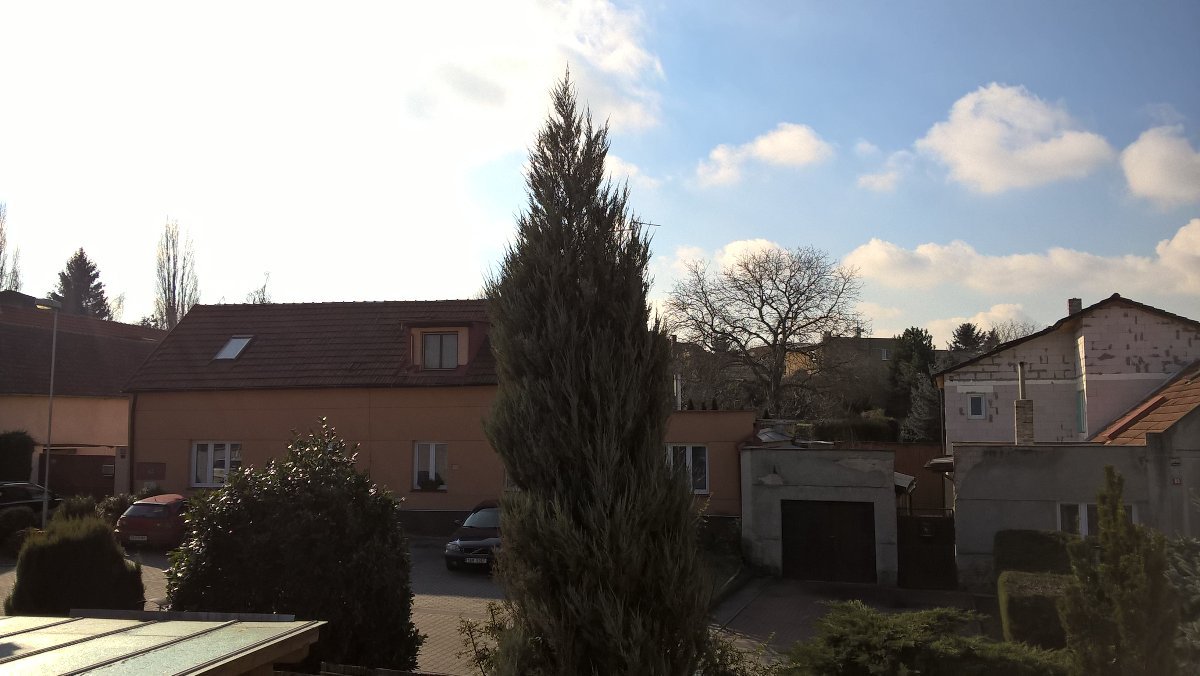 Radonice