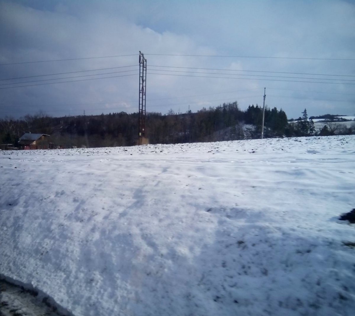 Stařeč