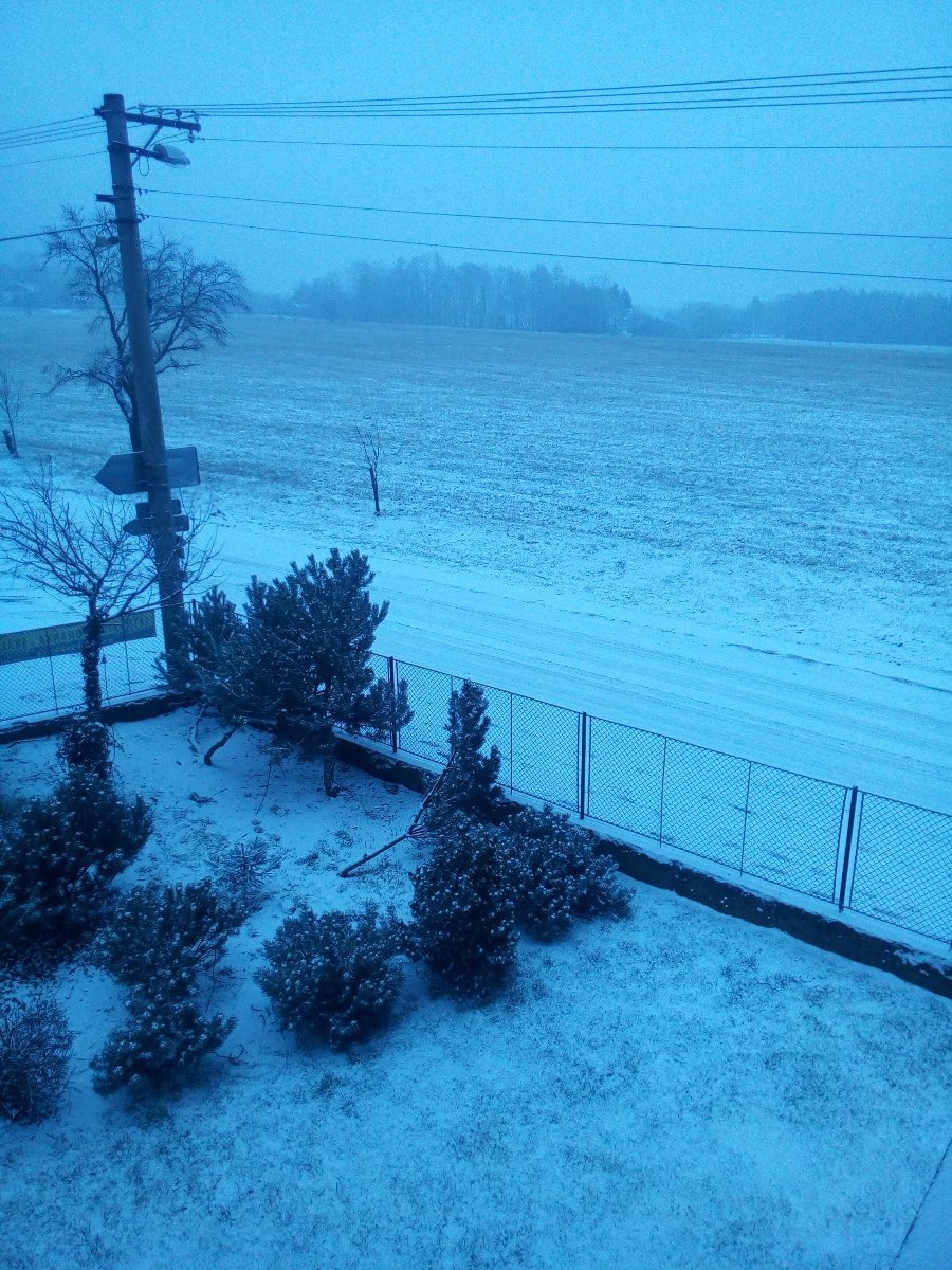 Boháňka