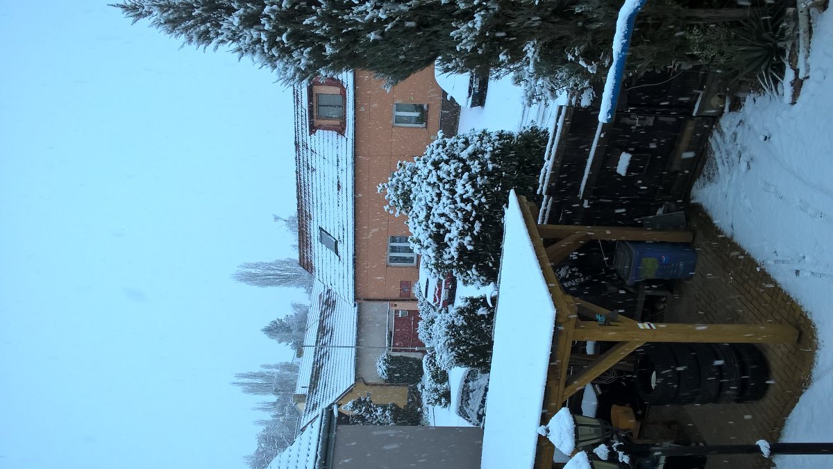 Radonice