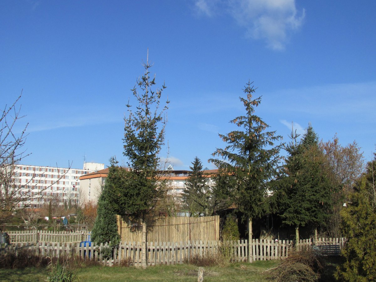 Neratovice