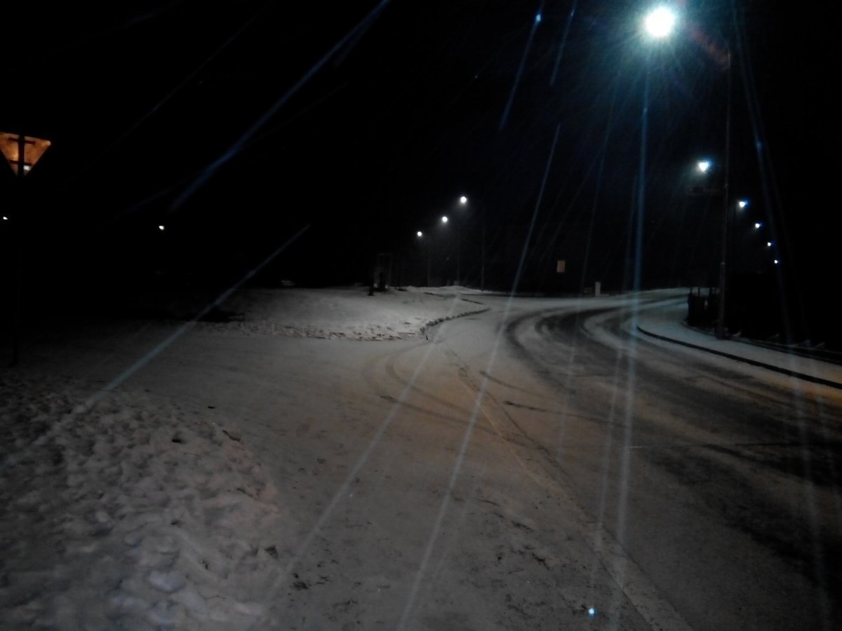 Borovina
