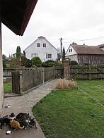 Třibřichy