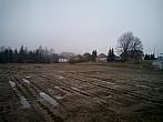 Borovina
