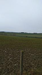 Podlazice