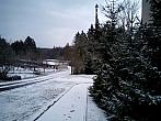Borovina