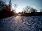 Borovina