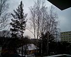 Borovina