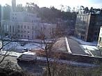 Borovina