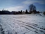 Borovina