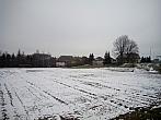 Borovina