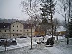 Borovina