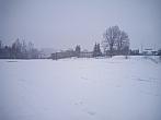 Borovina