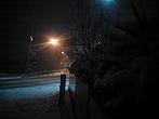 Borovina
