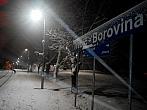 Borovina