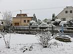 Třibřichy