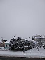 Pacov