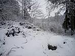 Borovina