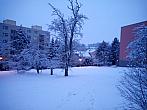 Borovina