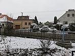 Třibřichy