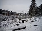 Borovina