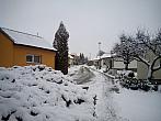 Borovina