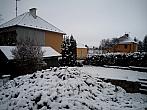 Borovina