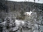 Borovina