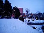 Borovina