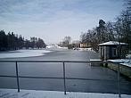 Borovina