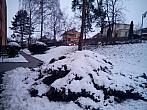 Borovina
