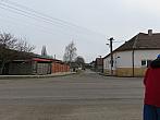 Třibřichy