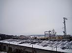 Borovina