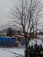 Skalité