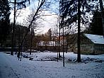 Borovina