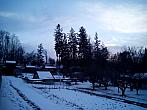 Borovina