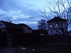 Třibřichy