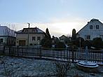 Třibřichy