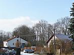 Třibřichy