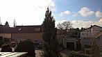 Radonice