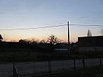 Třibřichy