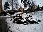 Borovina